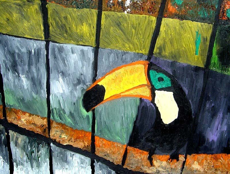 Il tucano